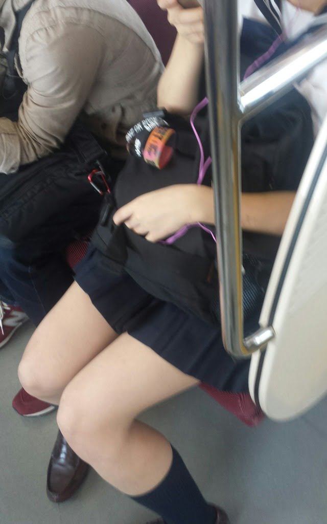 電車内でこんなスケベな女子高生がいたらたまんない (11)